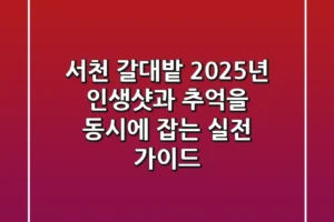 서천 갈대밭, 2025년 인생샷과 추억을 동시에 잡는 실전 가이드