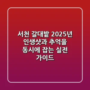 서천 갈대밭, 2025년 인생샷과 추억을 동시에 잡는 실전 가이드