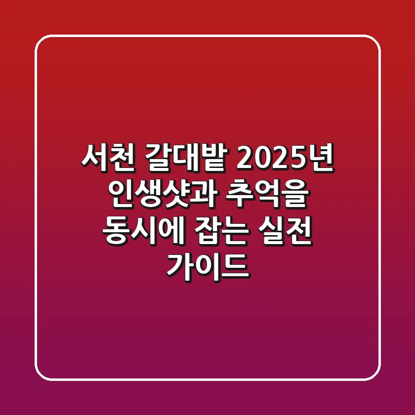 서천 갈대밭, 2025년 인생샷과 추억을 동시에 잡는 실전 가이드