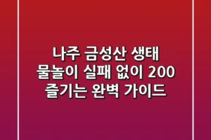 나주 금성산 생태 물놀이, 실패 없이 200% 즐기는 완벽 가이드