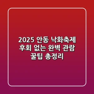 2025 안동 낙화축제, 후회 없는 완벽 관람 꿀팁 총정리!