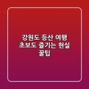 강원도 등산 여행, 초보도 즐기는 현실 꿀팁