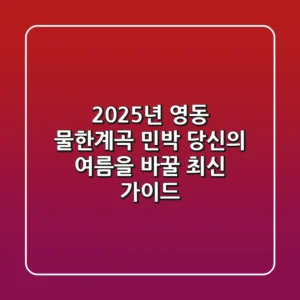 2025년 영동 물한계곡 민박, 당신의 여름을 바꿀 최신 가이드
