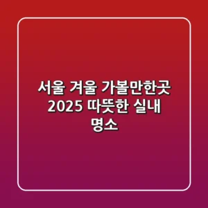 서울 겨울 가볼만한곳: 2025 따뜻한 실내 명소