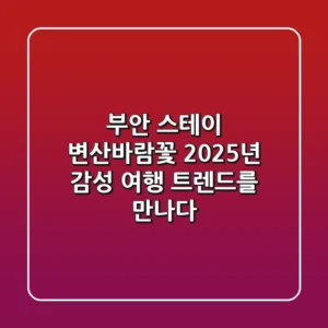 부안 스테이 변산바람꽃, 2025년 감성 여행 트렌드를 만나다