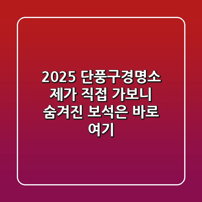 2025 단풍구경명소? 제가 직접 가보니 숨겨진 보석은 바로 여기!