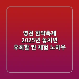 영천 한약축제 2025년, 놓치면 후회할 찐 체험 노하우