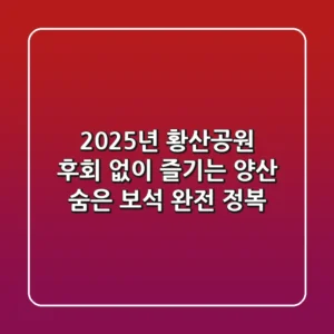 2025년 황산공원, 후회 없이 즐기는 양산 숨은 보석 완전 정복