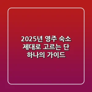 2025년 영주 숙소, 제대로 고르는 단 하나의 가이드