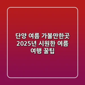 단양 여름 가볼만한곳: 2025년 시원한 여름 여행 꿀팁