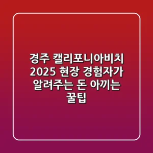 경주 캘리포니아비치 2025, 현장 경험자가 알려주는 돈 아끼는 꿀팁