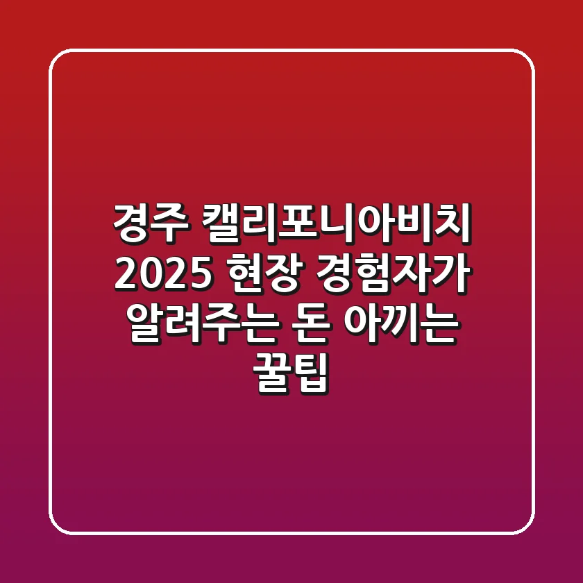 경주 캘리포니아비치 2025, 현장 경험자가 알려주는 돈 아끼는 꿀팁