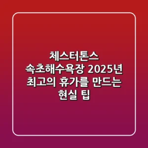 체스터톤스 속초해수욕장: 2025년 최고의 휴가를 만드는 현실 팁