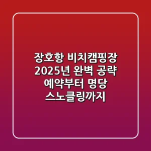 장호항 비치캠핑장, 2025년 완벽 공략! 예약부터 명당, 스노클링까지