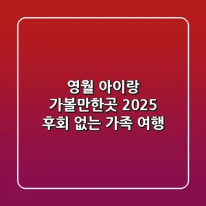 영월 아이랑 가볼만한곳: 2025 후회 없는 가족 여행