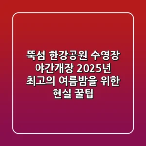 뚝섬 한강공원 수영장 야간개장, 2025년 최고의 여름밤을 위한 현실 꿀팁