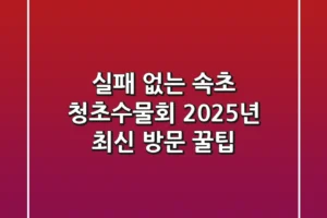 실패 없는 속초 청초수물회 2025년 최신 방문 꿀팁