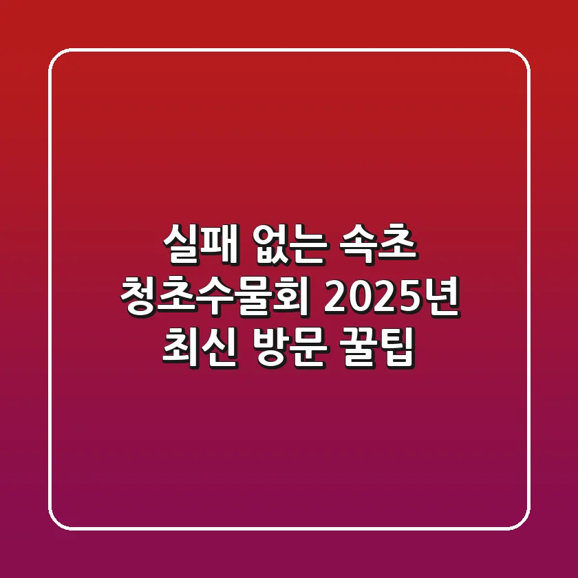 실패 없는 속초 청초수물회 2025년 최신 방문 꿀팁