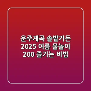 운주계곡 솔밭가든 2025: 여름 물놀이 200% 즐기는 비법