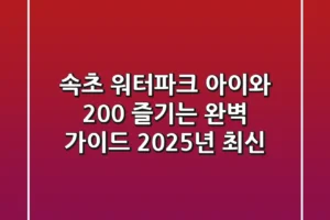 속초 워터파크, 아이와 200% 즐기는 완벽 가이드 (2025년 최신)