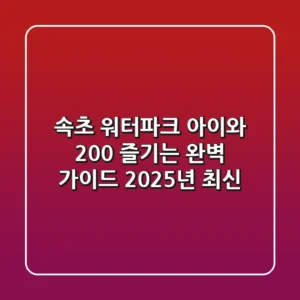 속초 워터파크, 아이와 200% 즐기는 완벽 가이드 (2025년 최신)