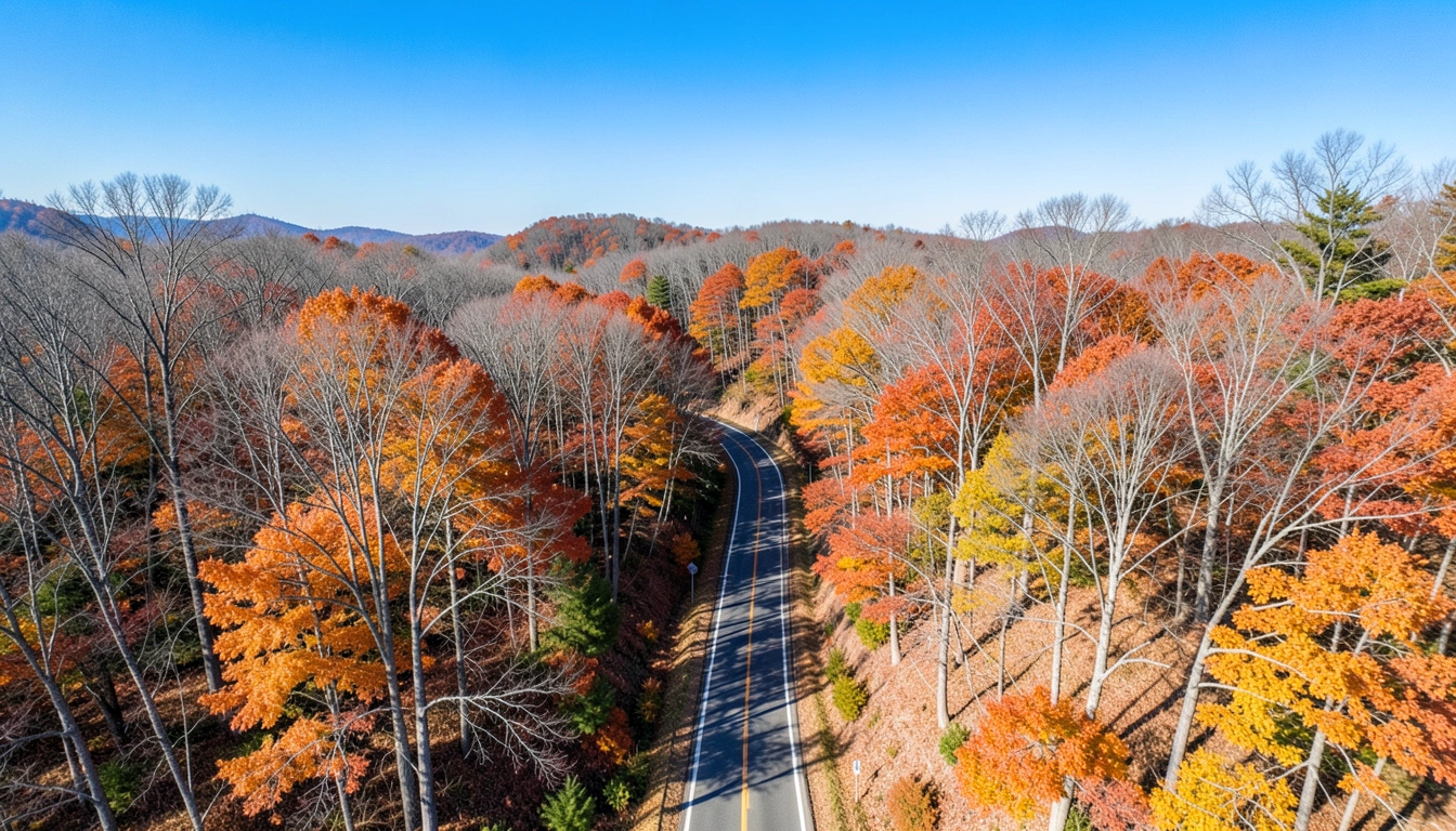 2025년 강원도 단풍, 전문가가 추천하는 완벽 즐기기 노하우