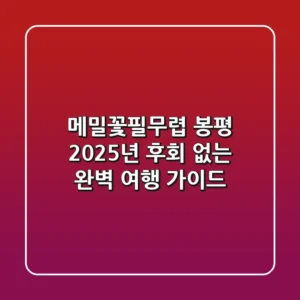 메밀꽃필무렵 봉평: 2025년 후회 없는 완벽 여행 가이드