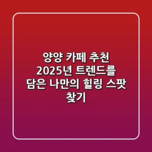 양양 카페 추천: 2025년 트렌드를 담은 나만의 힐링 스팟 찾기