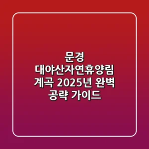 문경 대야산자연휴양림 계곡, 2025년 완벽 공략 가이드!