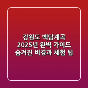 강원도 백담계곡 2025년 완벽 가이드: 숨겨진 비경과 체험 팁