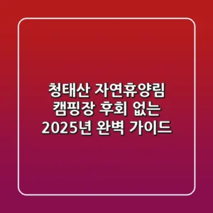 청태산 자연휴양림 캠핑장, 후회 없는 2025년 완벽 가이드