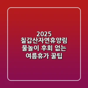 2025 칠갑산자연휴양림 물놀이, 후회 없는 여름휴가 꿀팁!