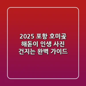 2025 포항 호미곶 해돋이, 인생 사진 건지는 완벽 가이드
