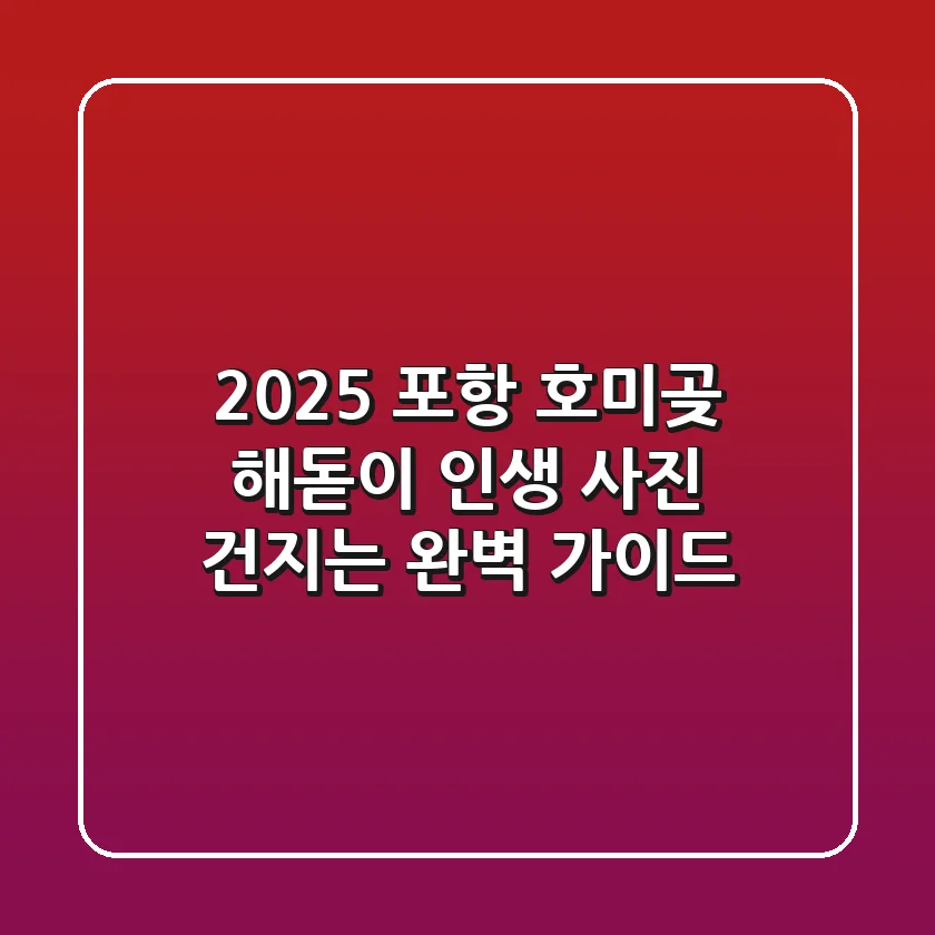 2025 포항 호미곶 해돋이, 인생 사진 건지는 완벽 가이드