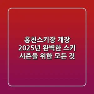 홍천스키장 개장, 2025년 완벽한 스키 시즌을 위한 모든 것