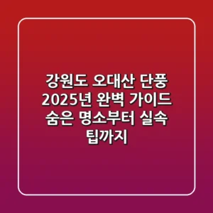 강원도 오대산 단풍, 2025년 완벽 가이드: 숨은 명소부터 실속 팁까지