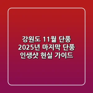 강원도 11월 단풍: 2025년 마지막 단풍 인생샷! 현실 가이드