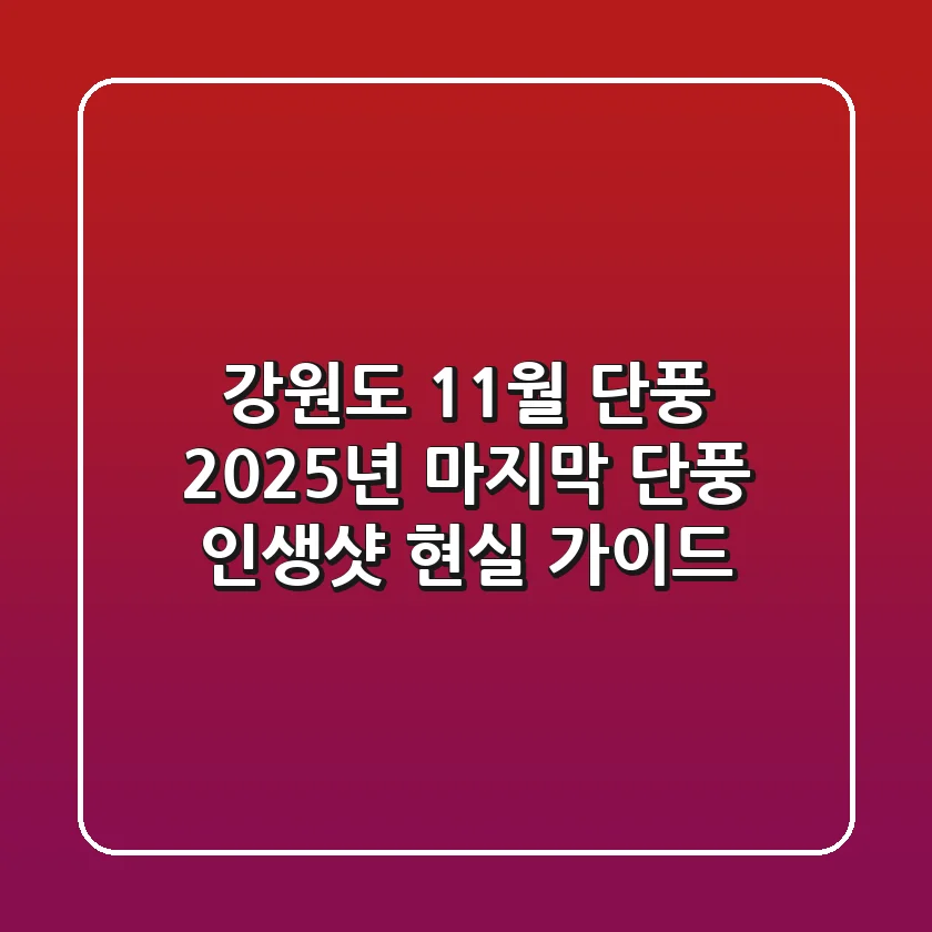 강원도 11월 단풍: 2025년 마지막 단풍 인생샷! 현실 가이드