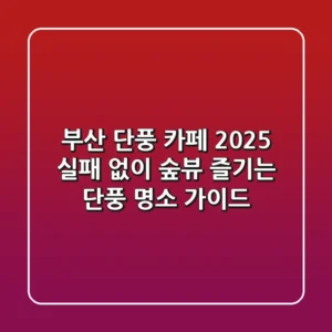 부산 단풍 카페 2025, 실패 없이 숲뷰 즐기는 단풍 명소 가이드