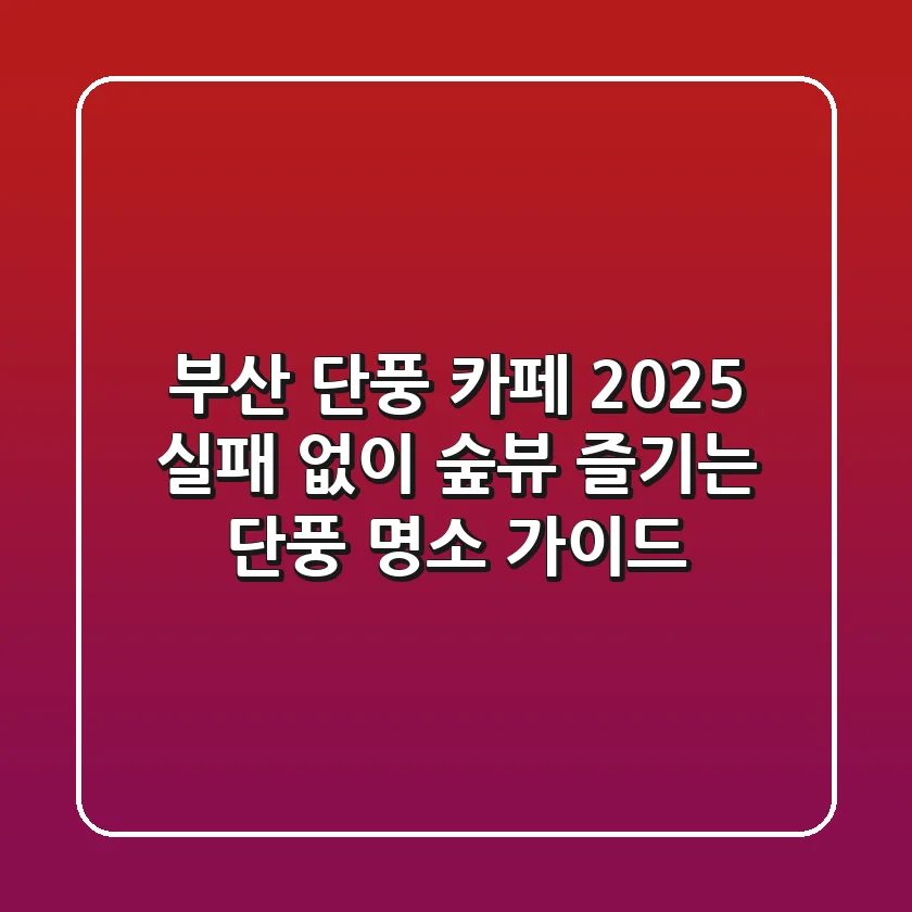 부산 단풍 카페 2025, 실패 없이 숲뷰 즐기는 단풍 명소 가이드