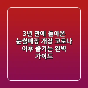 3년 만에 돌아온 눈썰매장 개장, 코로나 이후 즐기는 완벽 가이드