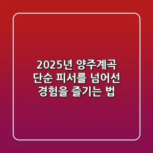 2025년 양주계곡, 단순 피서를 넘어선 ‘경험’을 즐기는 법