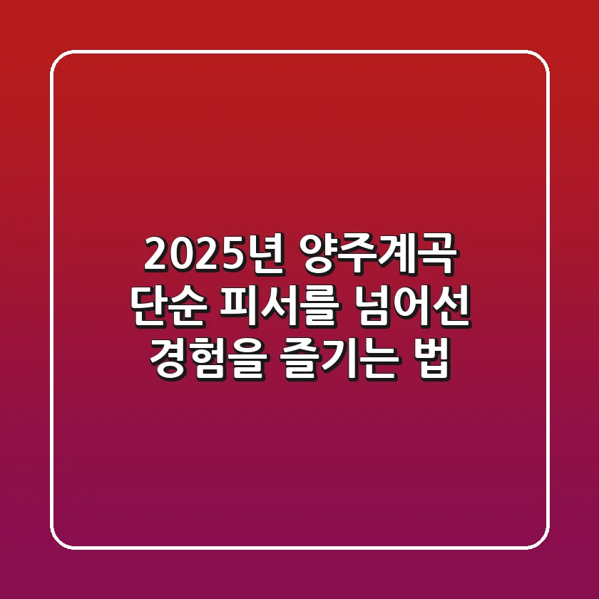 2025년 양주계곡, 단순 피서를 넘어선 ‘경험’을 즐기는 법
