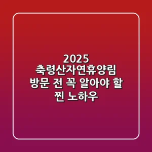 2025 축령산자연휴양림, 방문 전 꼭 알아야 할 '찐' 노하우!