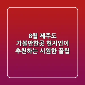 8월 제주도 가볼만한곳, 현지인이 추천하는 시원한 꿀팁 🌊