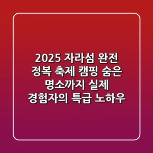 2025 자라섬 완전 정복: 축제, 캠핑, 숨은 명소까지! 실제 경험자의 특급 노하우