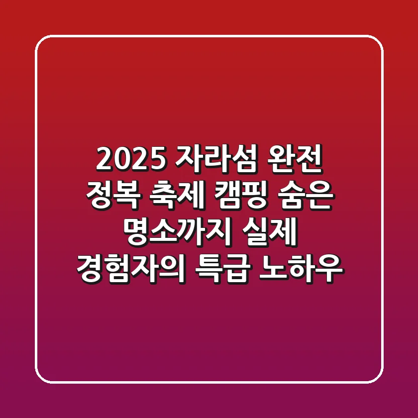 2025 자라섬 완전 정복: 축제, 캠핑, 숨은 명소까지! 실제 경험자의 특급 노하우
