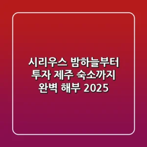 시리우스: 밤하늘부터 투자, 제주 숙소까지 완벽 해부 2025