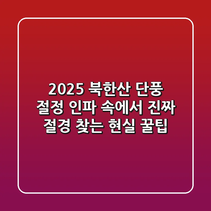 2025 북한산 단풍 절정, 인파 속에서 '진짜' 절경 찾는 현실 꿀팁
