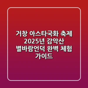 거창 아스타국화 축제: 2025년 감악산 별바람언덕 완벽 체험 가이드